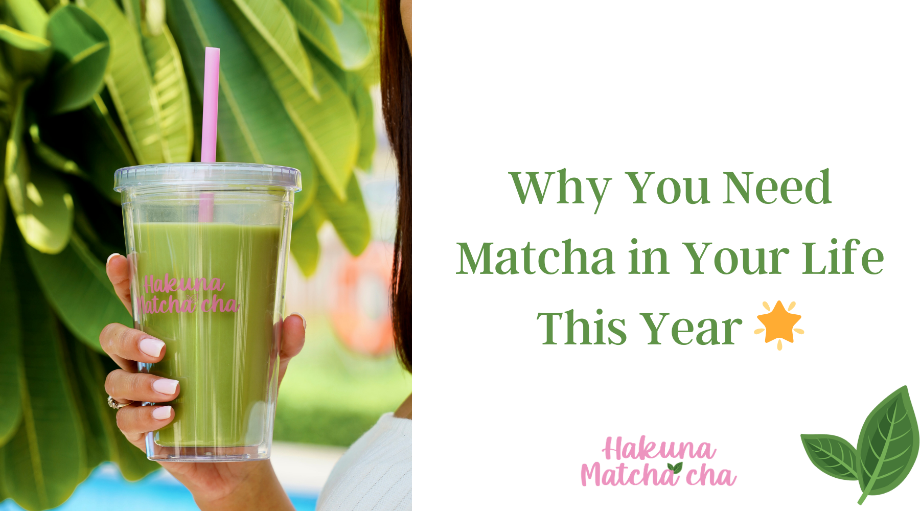 Why You Need Matcha in Your Life This Year 🌟
