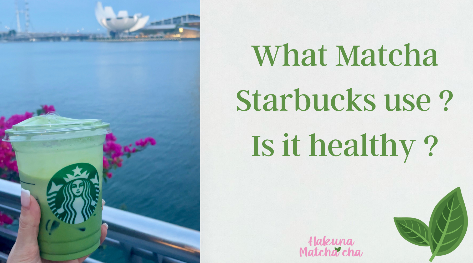 What Matcha Does Starbucks Use: Unveiling the Secret!