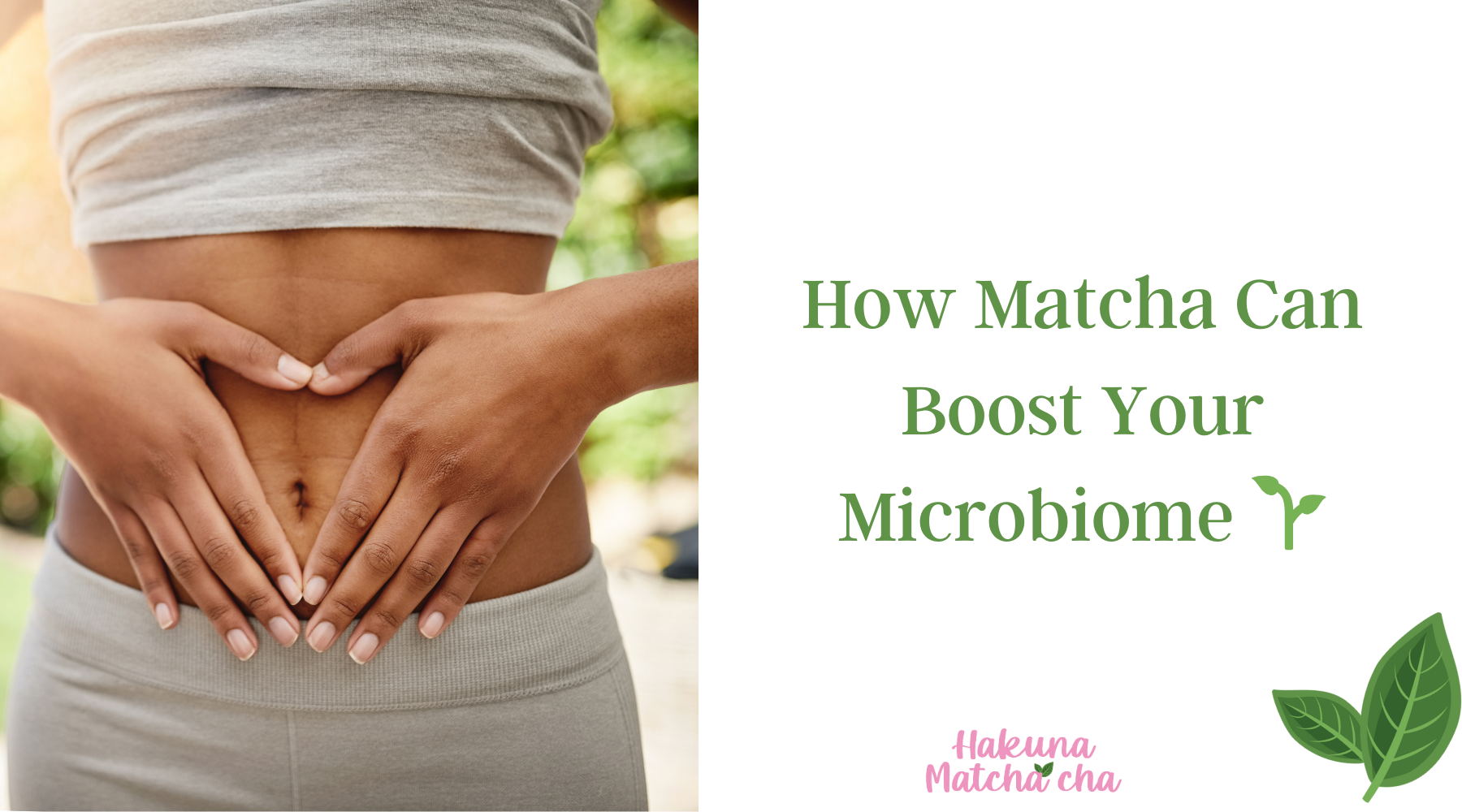 🧘♀️ The Role of Matcha in Supporting Gut Health: How Green Tea Powder Can Boost Your Microbiome 🌱