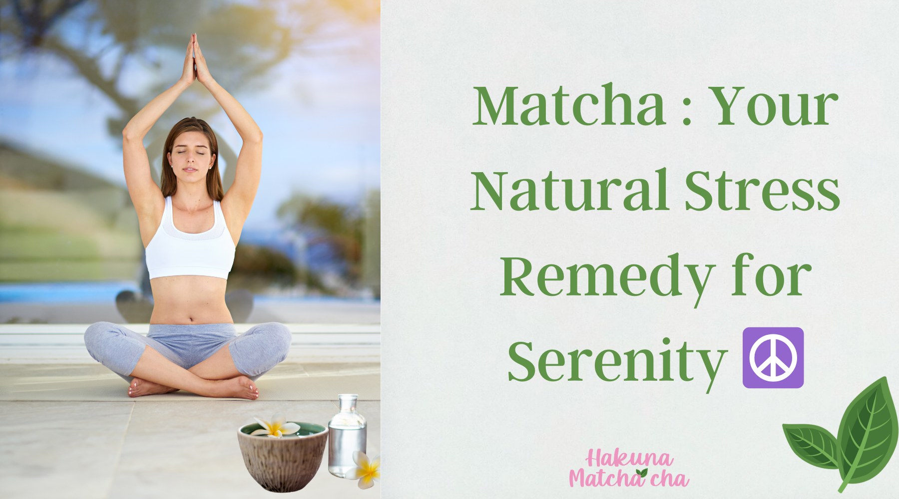 Matcha: Your Natural Stress Remedy for Serenity 🍵☮️