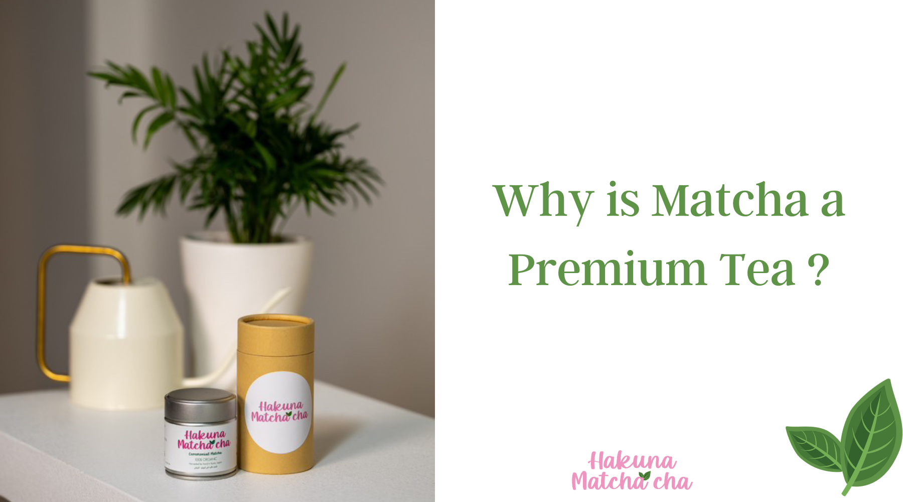 Why is Matcha a Premium Tea? 💚🍵