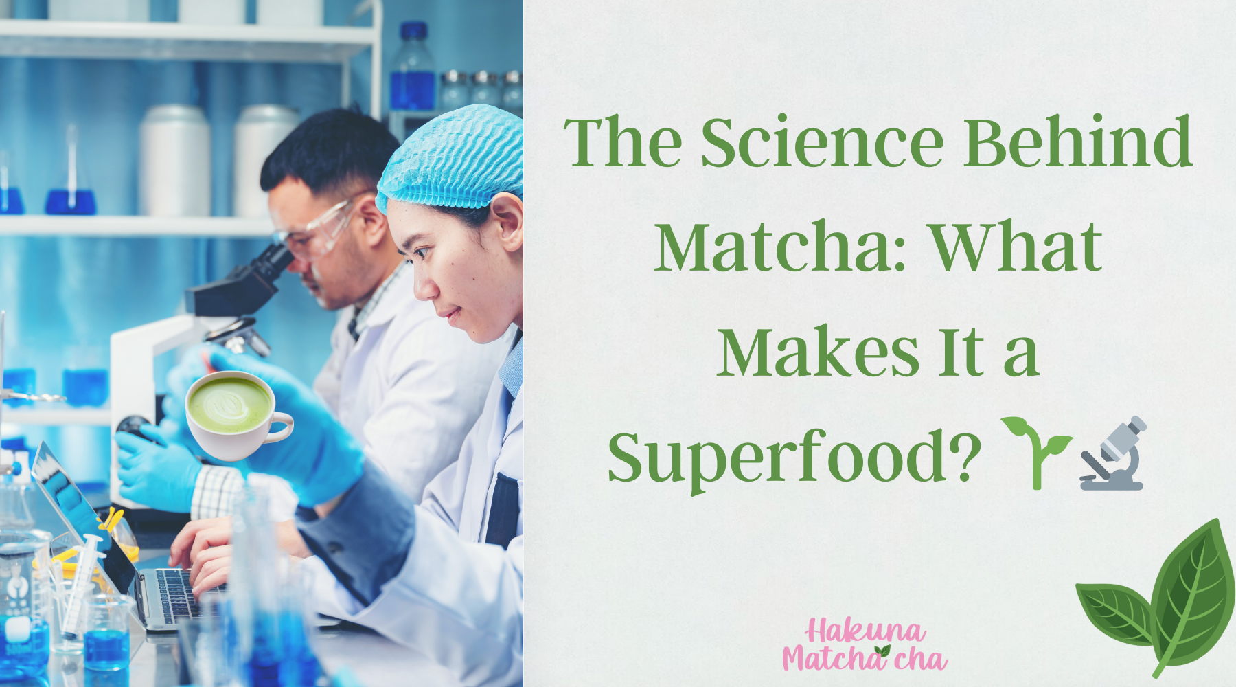 The Science Behind Matcha: What Makes It a Superfood? 🌿🔬