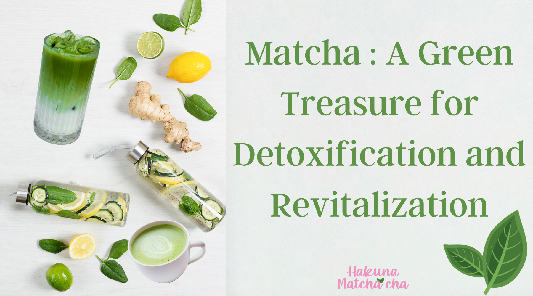 Matcha: A Green Treasure for Detoxification and Revitalization